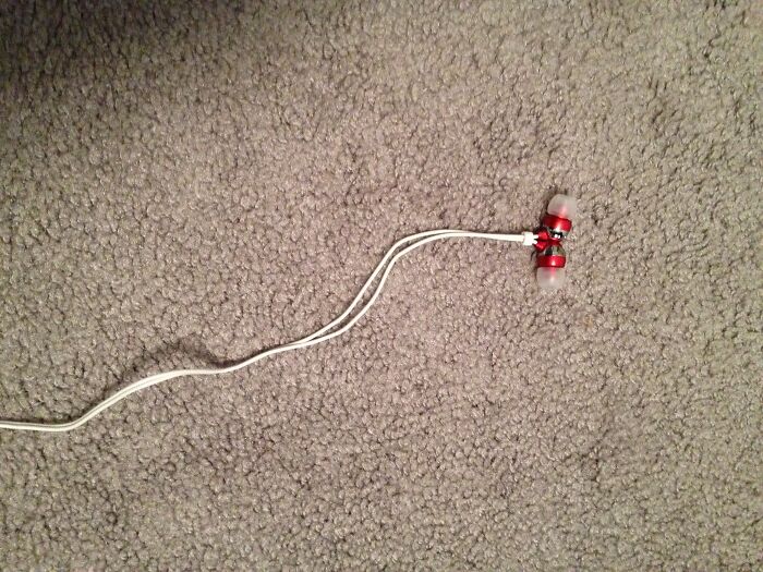 Tangled earphones on carpet illustrating one of the specific little things that are so irritating to people.