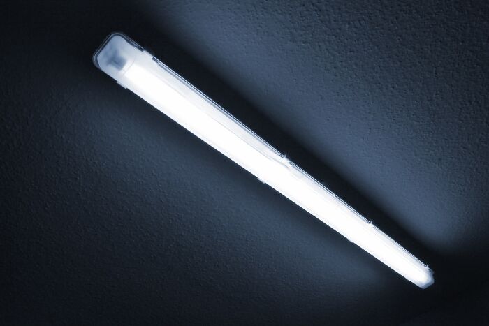 Fluorescent light fixture mounted on a ceiling, illustrating one of the specific little things that are so irritating.