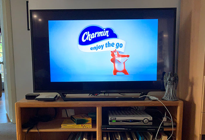TV screen displaying a Charmin commercial with a bear mascot, an example of little things that are so irritating to people.