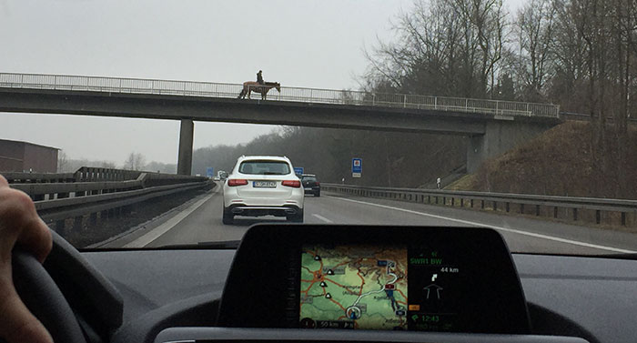 View from inside car driving on highway, a person riding a horse on an overpass, illustrating irritating little things on the road