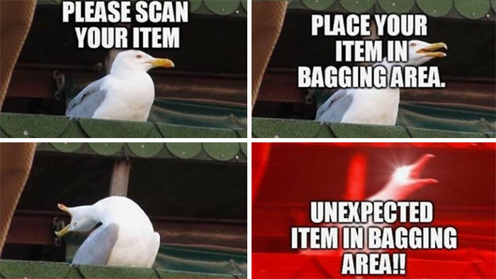 Seagull humor showing irritating moments at self-checkout with scanning and bagging frustrations.