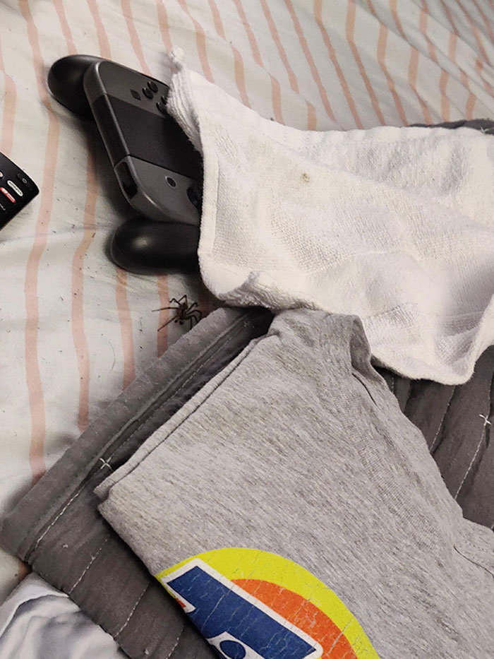 I Looked Over And There Was A Spider In My Bed With Me