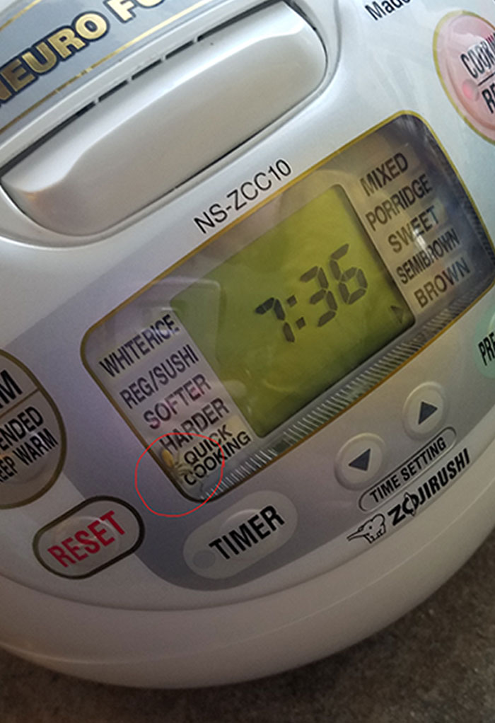 My Wife Found A Spider Inside Of Our Rice Cooker