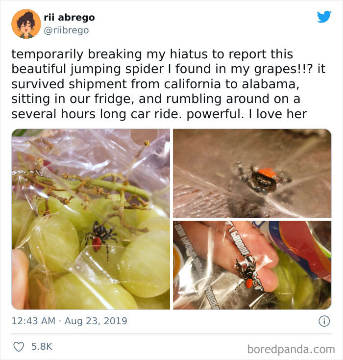 She's A Model And A Survivor