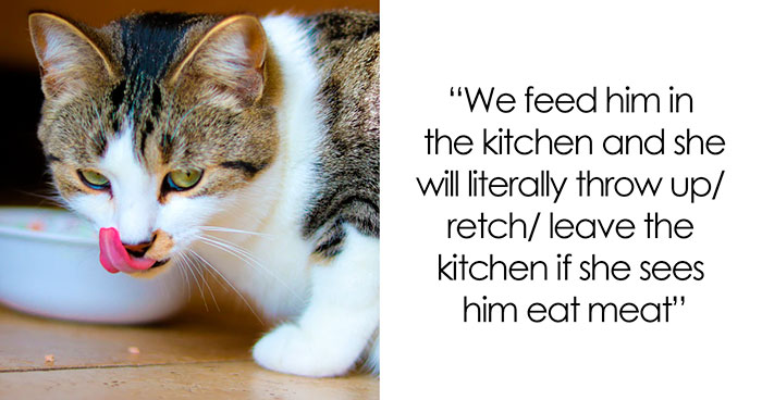 Vegan Stepdaughter Makes A Scene After Parents Refuse To Change Their Cat’s Diet To Vegan