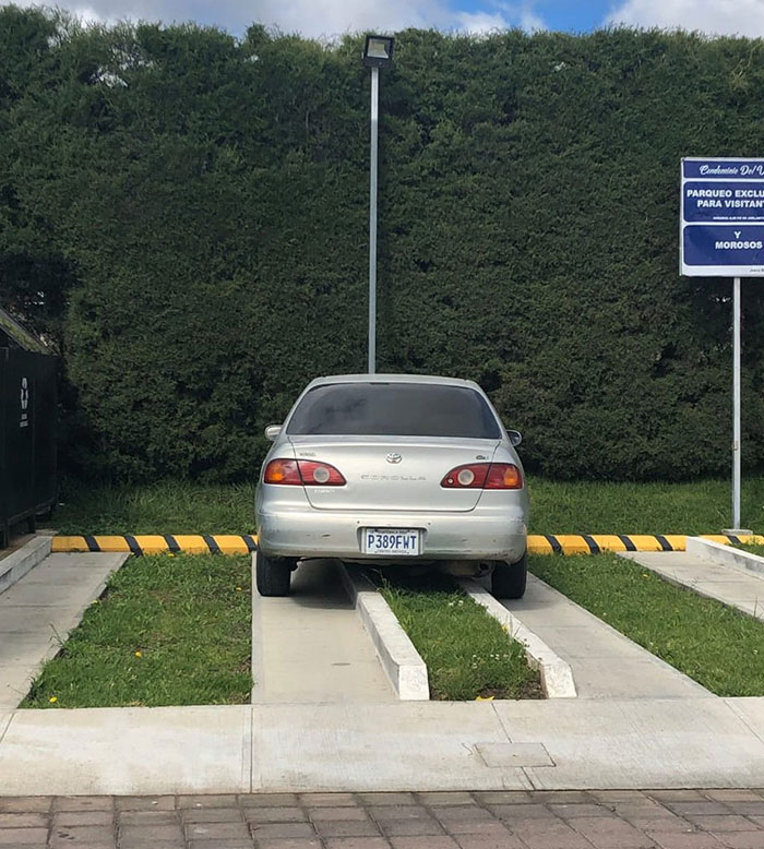 Parking Your Car Like A Pro
