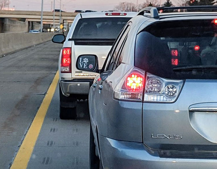 Objects In The Mirror Are Even Stupider Than They Appear