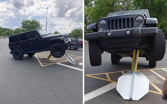Stop Sign Made Sure She Was Stopped
