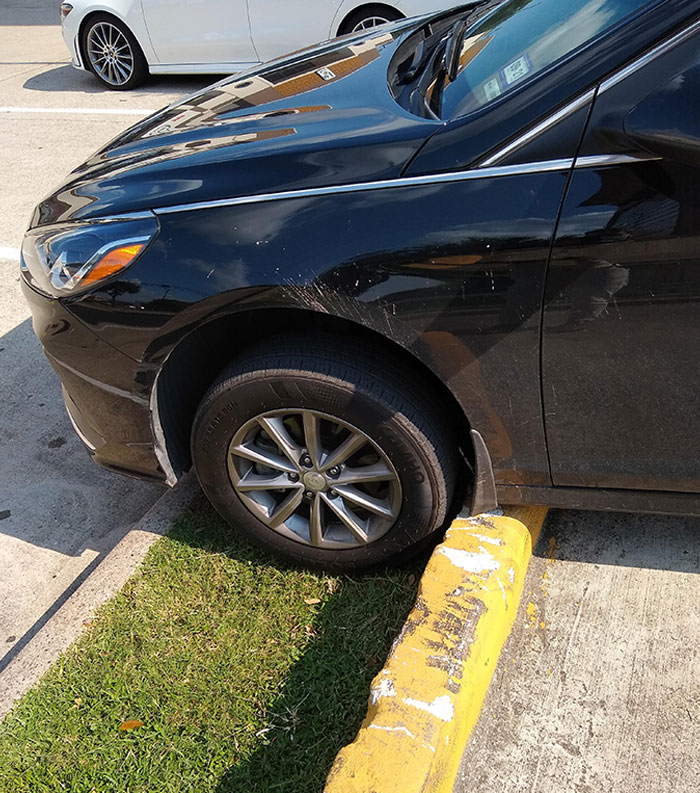 Today I Was The Idiot In The Car