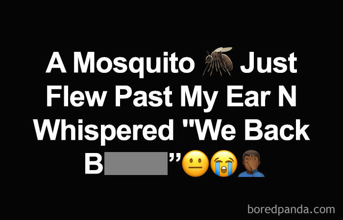 Funny summer meme about a mosquito whispering humorously with emojis.