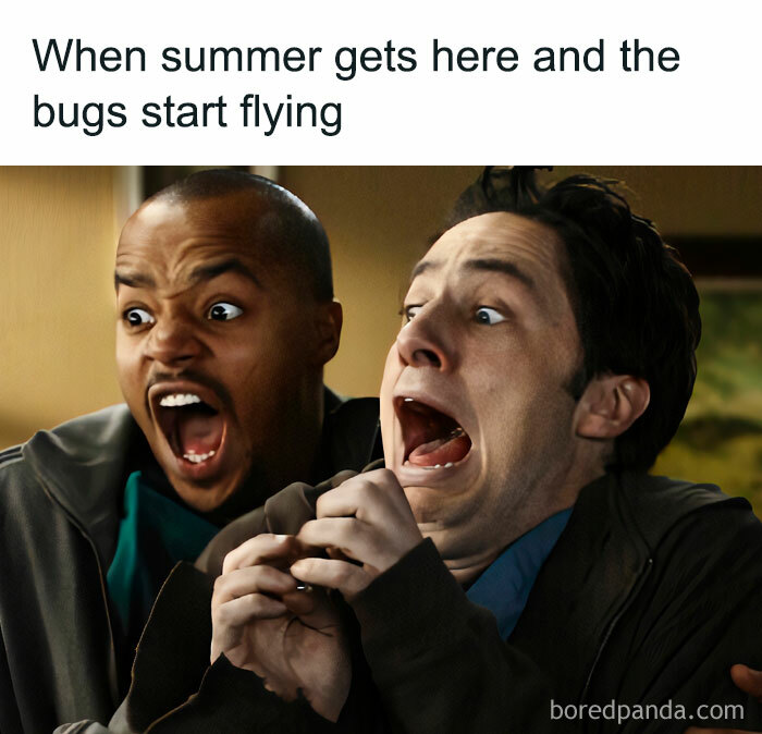 Two men with comical expressions reacting to summer bugs flying, capturing a funny meme moment.
