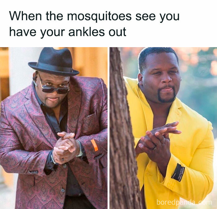 Two men in colorful suits rubbing hands schemingly, representing a funny summer meme about mosquitoes.