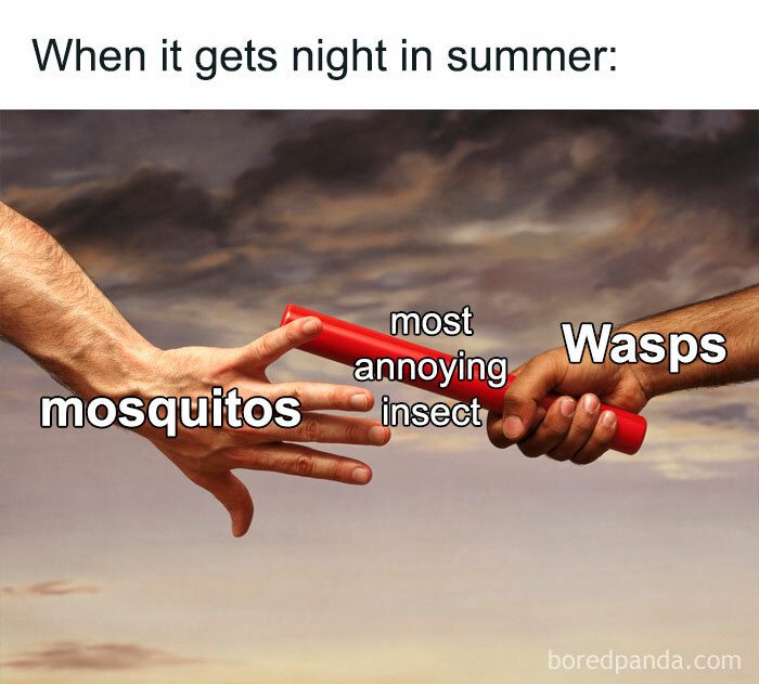Two hands passing a baton labeled "most annoying insect" from mosquitos to wasps, funny meme for summer.