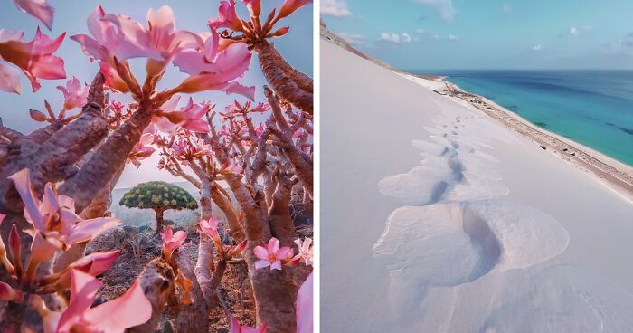 I Explored Socotra Island — A Place Unlike Anywhere Else (30 Pics)