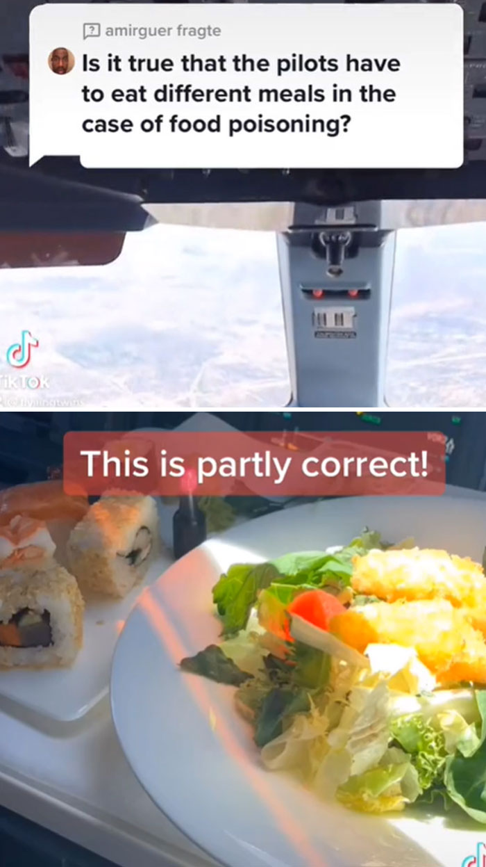 Twin-Pilots-Answers-Plane-Questions