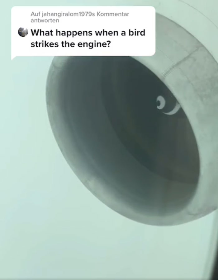 Twin-Pilots-Answers-Plane-Questions