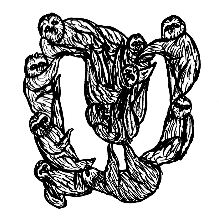 U For Unau, A Two-Toed Sloth Species Found In South America