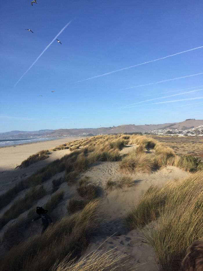 Sand Dunes At A California Beach