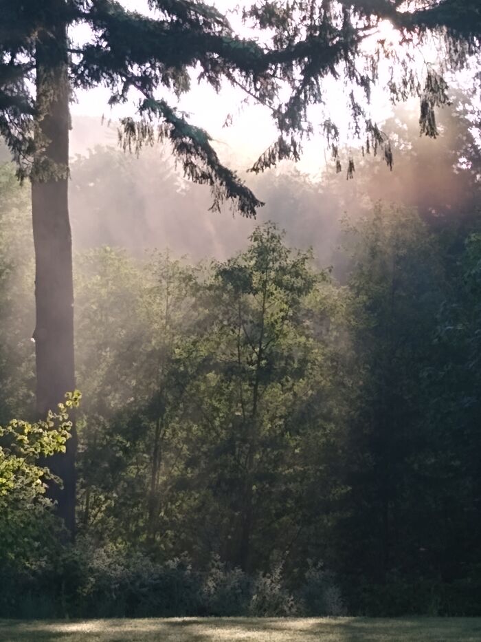 Got This On My Back Porch One Morning