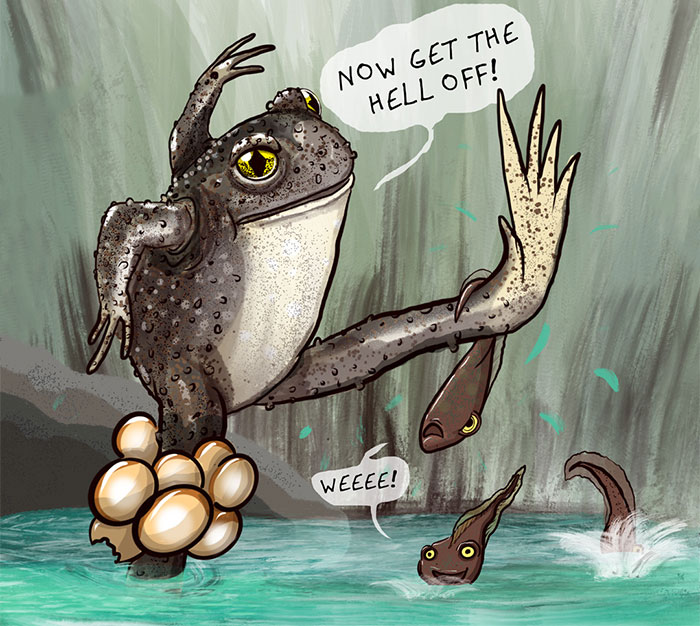 I Made These 20 Comics About The Weirdest Dads In The Animal Kingdom For Father’s Day