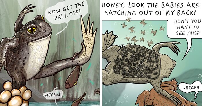 I Made These 20 Comics About The Weirdest Dads In The Animal Kingdom For Father’s Day