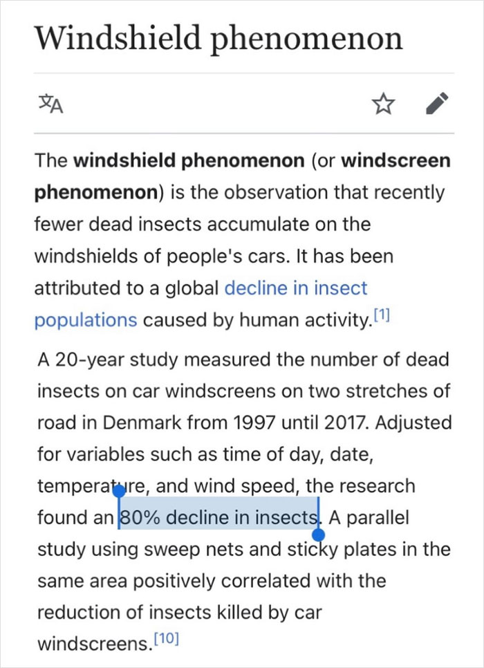 Back When I Was A Kid We Killed Waaaay More Bugs With Our Cars