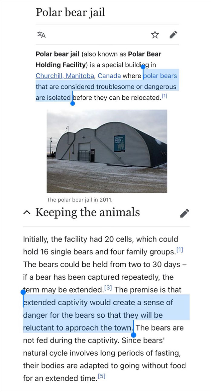 Mans Done Nothing, Free My Boys