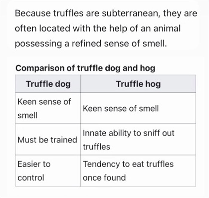 Very Important Chart!!!in The Streets, In The Sheets, Etc.