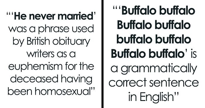 ‘Depths Of Wikipedia’: This Page Is Dedicated To The Weird Side Of Wikipedia And Here Are 30 Of The Best Examples