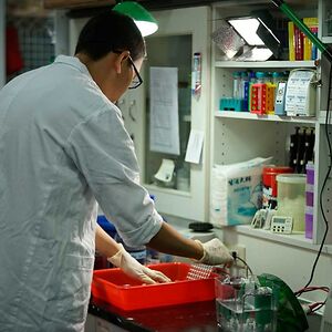 jualobatjerawat avatar