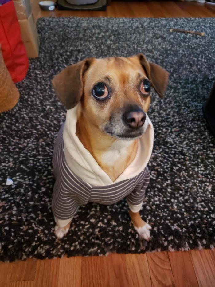 His Name Is Murdock After The Comic Book Character Daredevil As He Is A Blind Daredevil Himself.