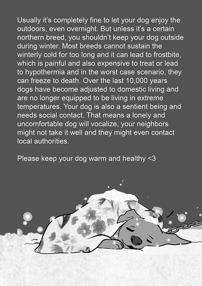 Artist Who Makes People Cry With Her Animal Comics Just Released A New Tragic One About A Freezing Dog Artist Who Makes People Cry With Her Animal Comics Just Released A New Tragic One About A Freezing Dog