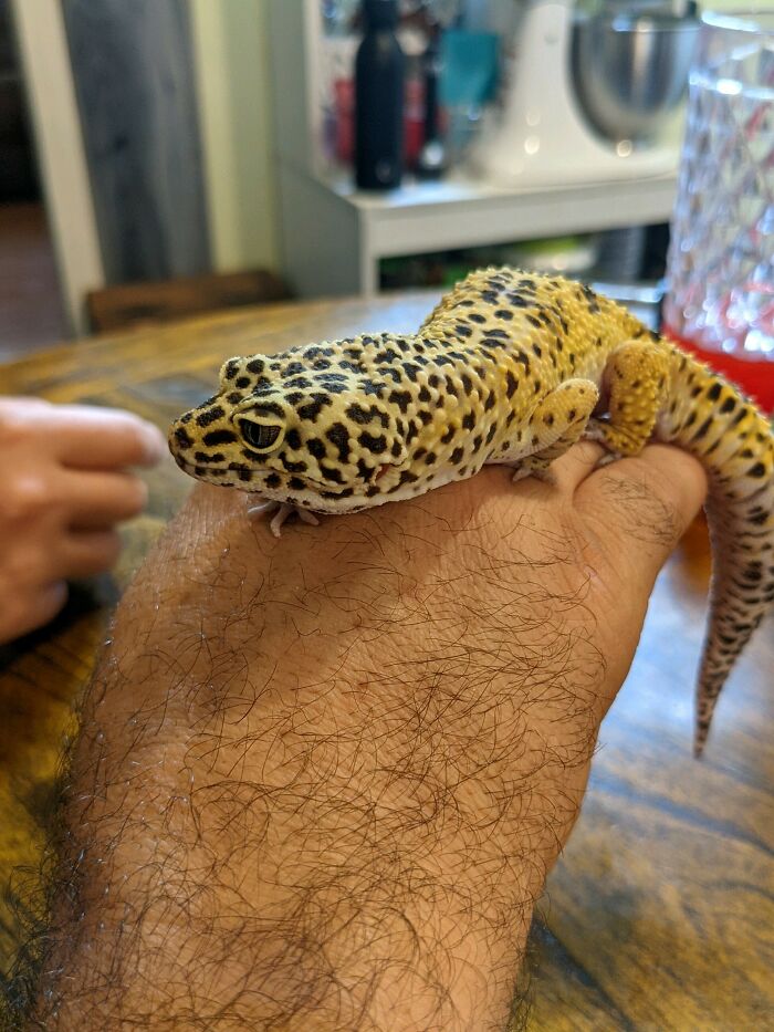 My Roommate Who’s Always Turning The Heat Up