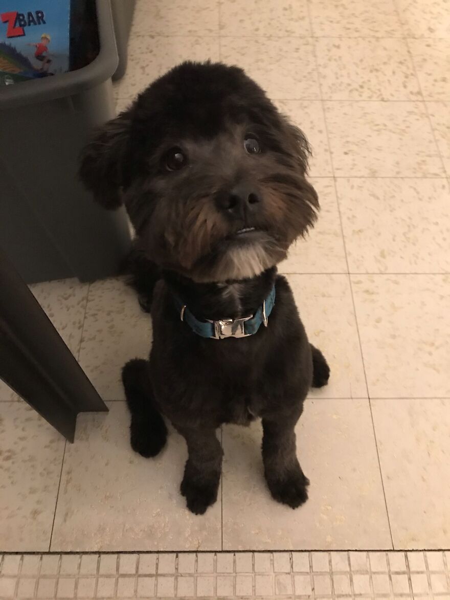 “I’m Not Too Sure About This Haircut Mum…”