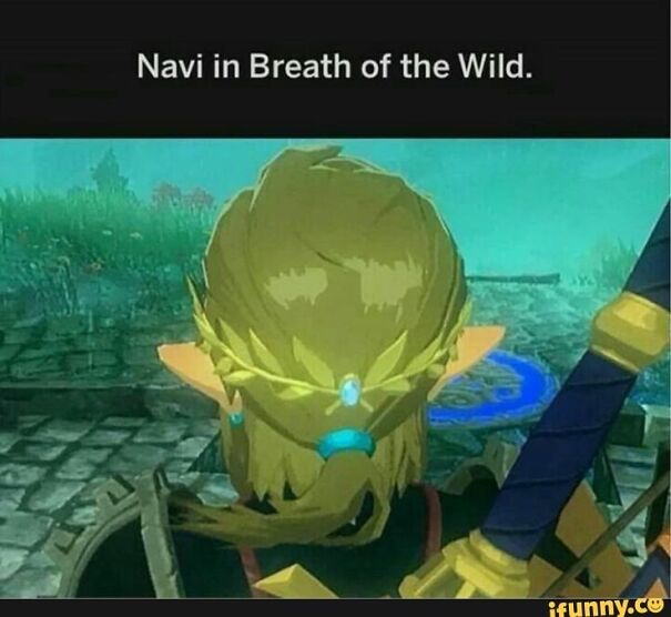 10 Botw Memes I Can Relate To (+ 2 Made By Me)