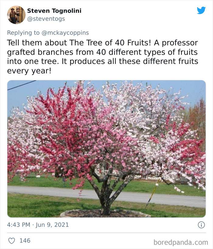 Father-Asks-Internet-Interesting-Facts-For-Children