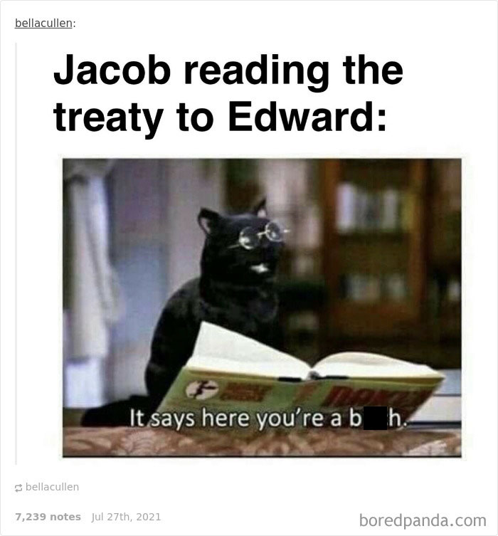 Funny-Twilight-Jokes-Memes