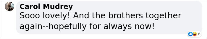 On Princess Diana’s 60th Birthday, Her Sons Prince Harry And Prince William Honored Their Mother By Unveiling Her Statue Despite Tensions Between Them On Princess Diana’s 60th Birthday, Her Sons Prince Harry And Prince William Honored Their Mother By Unveiling Her Statue Despite Tensions Between Them