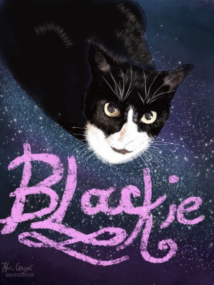 My BF's Cat, Black Jack ( Blackie)