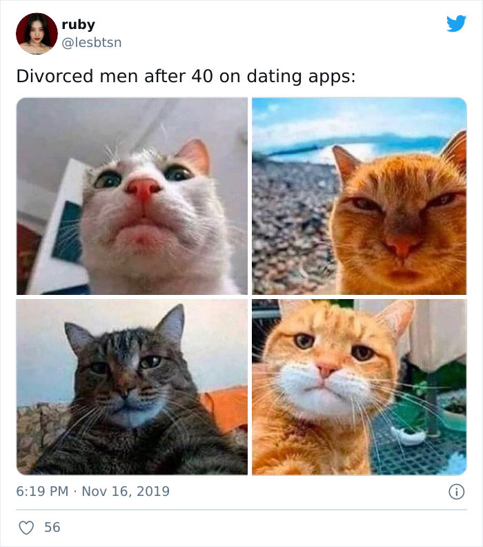 Made Me Chuckle. Accurate!