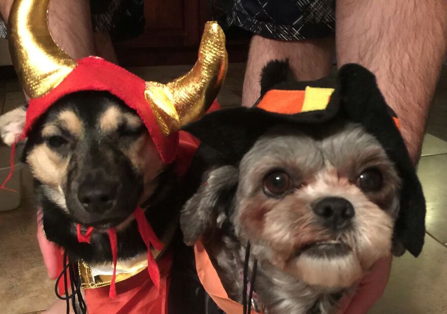 Luna And Penny - Can You Guess Which One Was Over It?