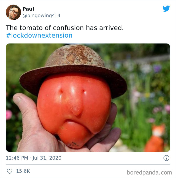 It Looks Exactly Like Larry Bird