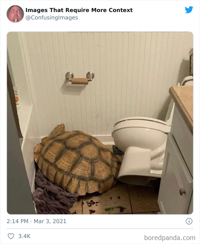 Confusing-Images-That-Require-More-Context