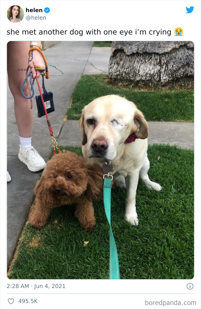 This Makes Me Smile And Cry At The Same Time