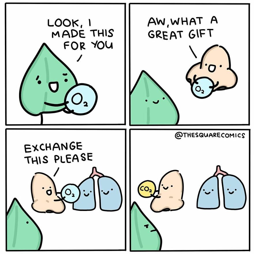 Fun Square Comics, Part 3