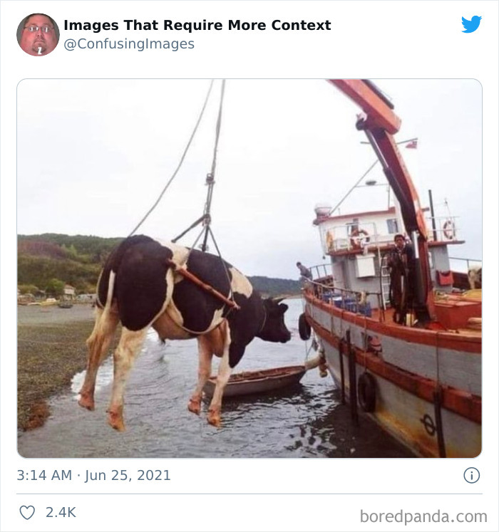 Confusing-Images-That-Require-More-Context