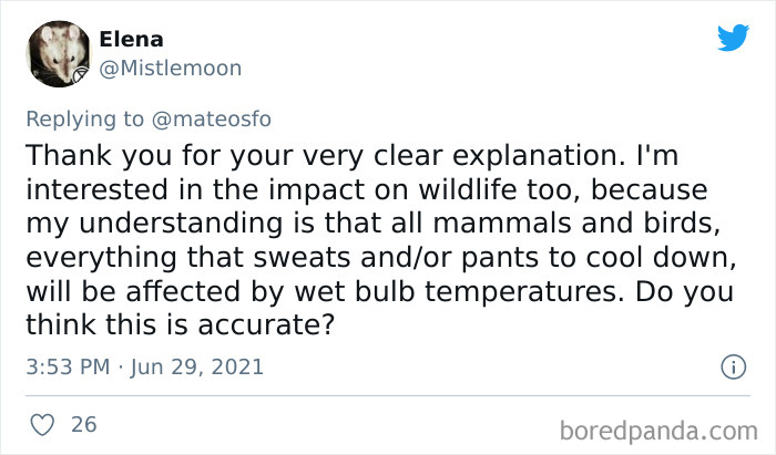 Abnormal Heatwaves And The Wet Bulb Effect Are Causing Specialists To Speak Up About How Hazardous Such Extremes Can Be To Humans Abnormal Heatwaves And The Wet Bulb Effect Are Causing Specialists To Speak Up About How Hazardous Such Extremes Can Be To Humans