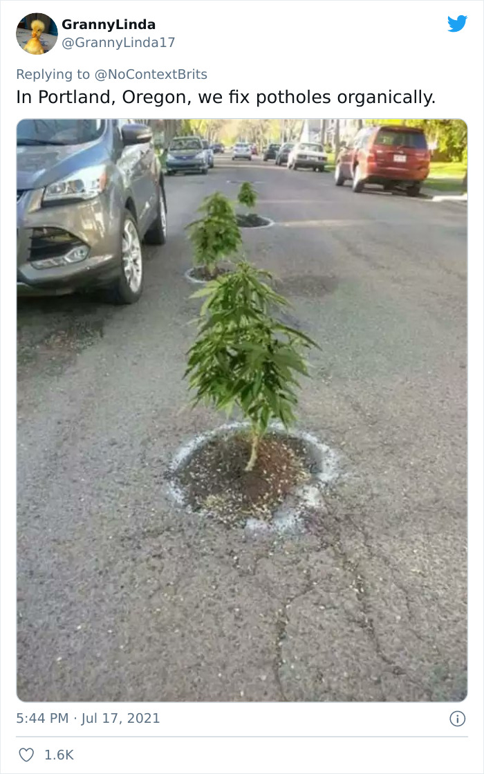 Bad-Roads-First-World-Problem-Twitter-Thread