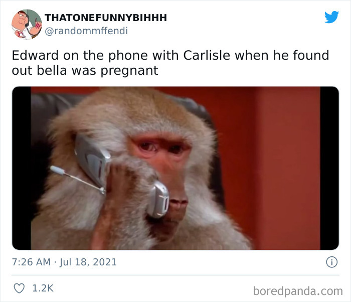 Funny-Twilight-Jokes-Memes