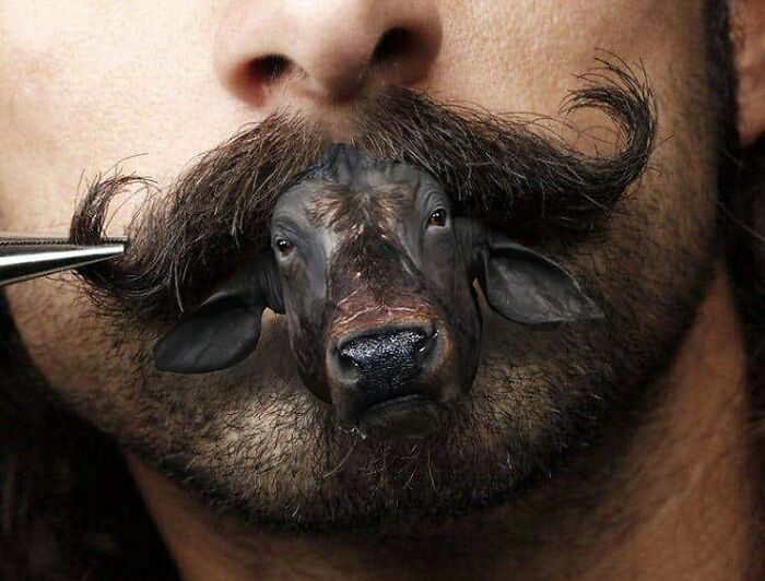 This Artist From Turkey Makes Incredibly Absurd Collages